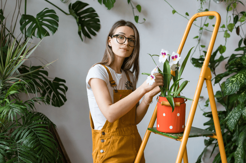 woman caring for orchid on yellow step ladder