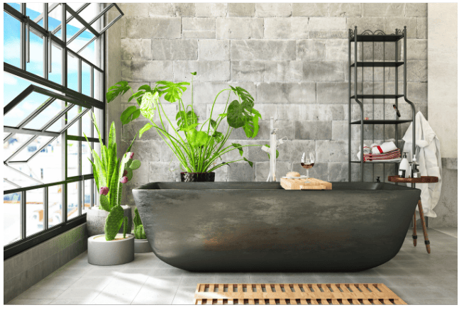 plants around bathtub