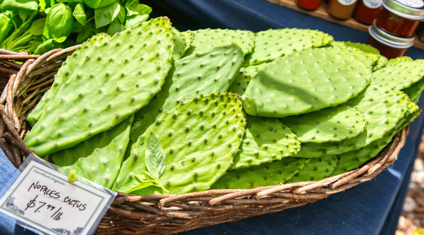 nopales cactus leaves in basket